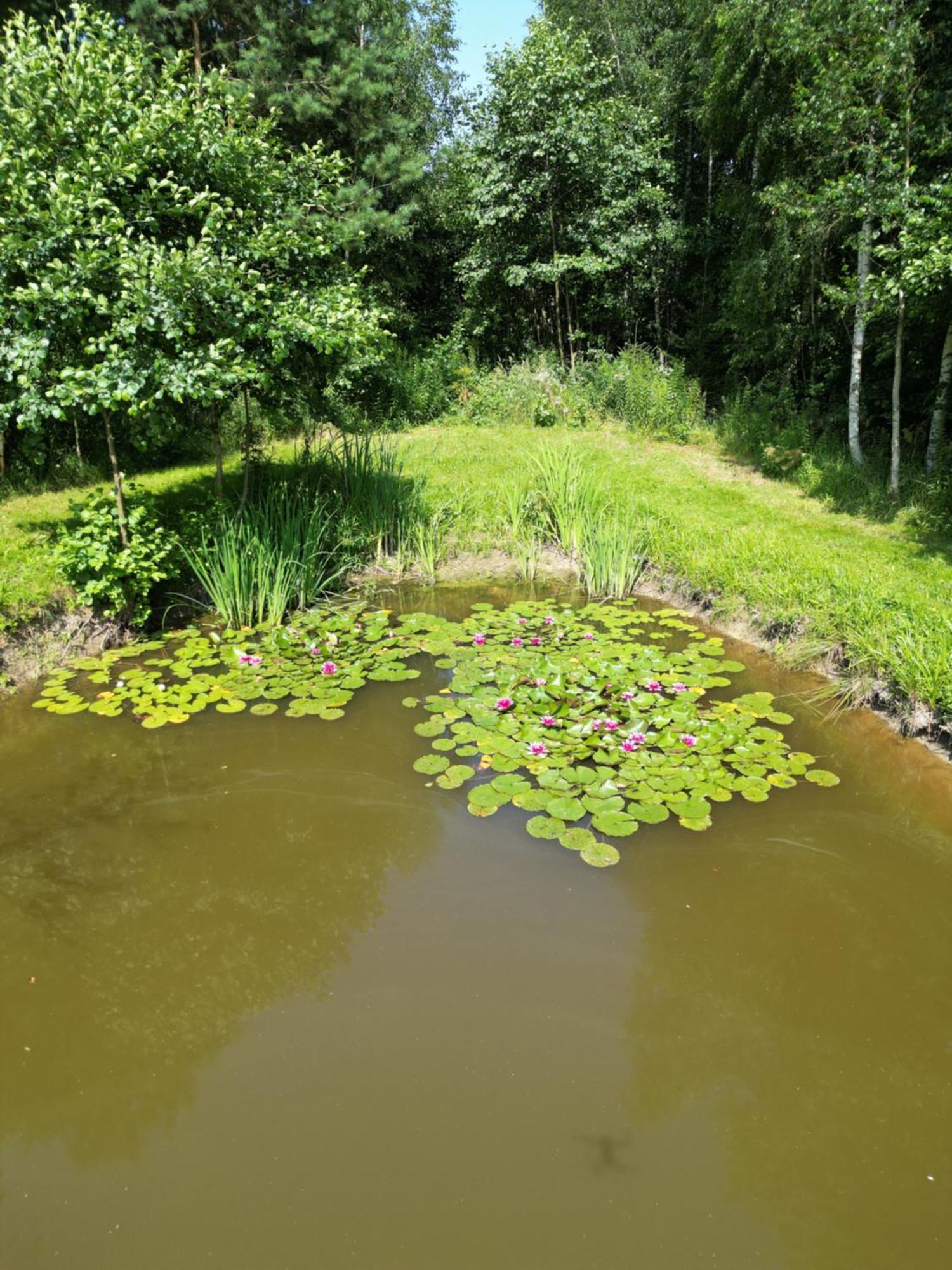 Agroturystyka Sajkiewicz Suchowola  外观 照片